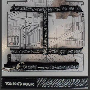 Yak Pak Cat Harness & Leash